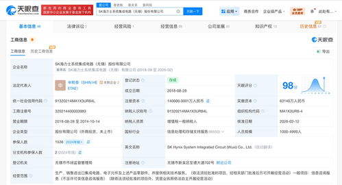 SK海力士系統集成電路公司增資至14億，深化信息系統集成服務布局