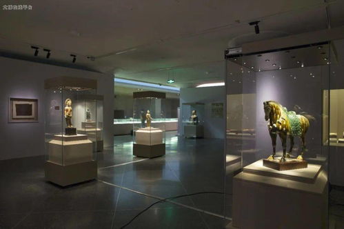 絲路遺珍，雪域瑰寶——2019年度十大陳列展覽精品之《絲綢之路上的文化交流 吐蕃時期藝術珍品展》推介